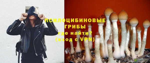 соль ск Иннополис