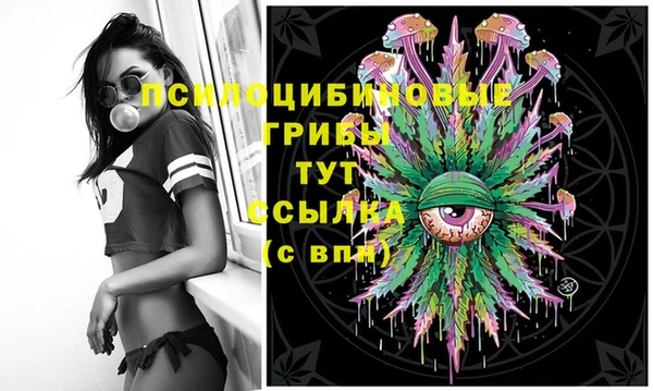 соль ск Иннополис