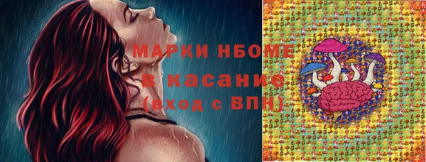 СК Инсар
