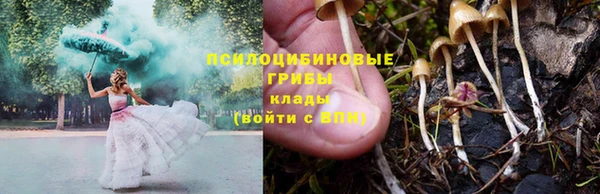 соль ск Иннополис