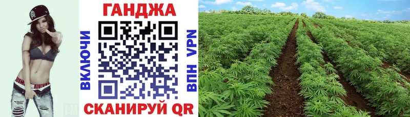 Купить где  Саки  МАРИХУАНА гибрид 